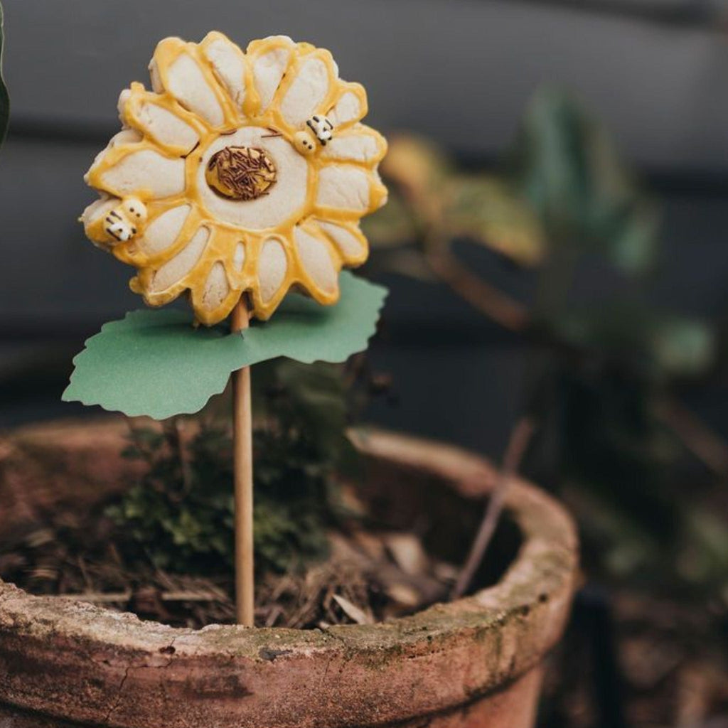 Easy Peasy Cakes COOKIE KITS Sunny Sunflower Cookie Kit